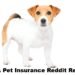 ASPCA Pet Insurance Reddit Reviews