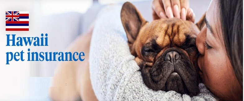 Best Pet Insurance Hawaii