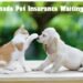 Lemonade Pet Insurance Waiting Period