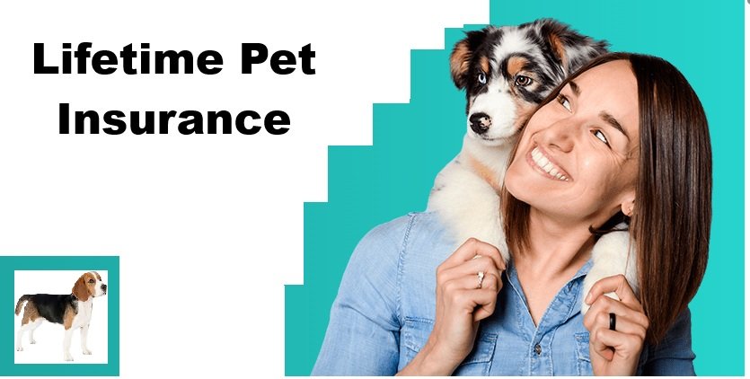 Lifetime Pet Insurance