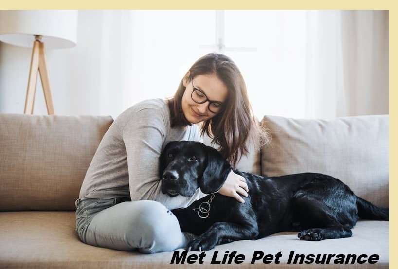 Met Life Pet Insurance
