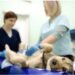 Pet Insurance for Pugs
