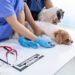 Does Pet Insurance Cover Prescription Food