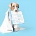 What is Pet Health Insurance